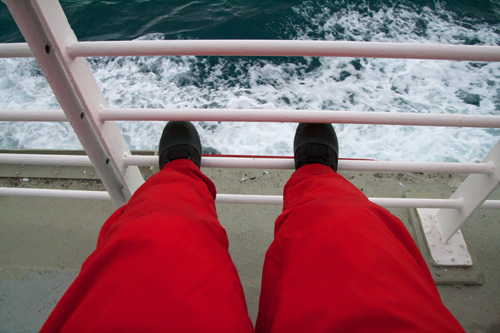 IJsland in de winter – Stadstour en&nbsp;walvissen