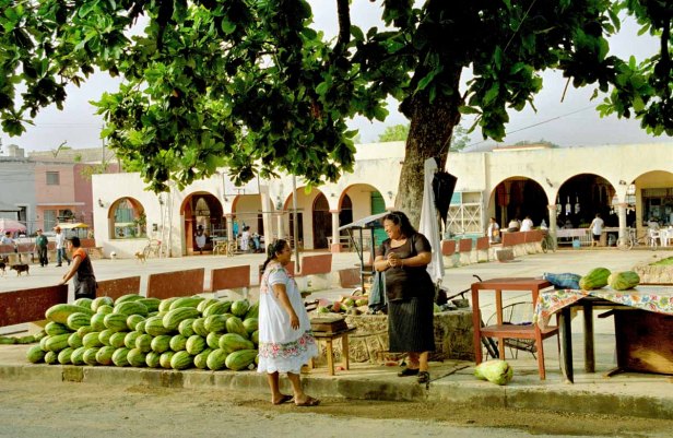 15 meloenenverkoopster