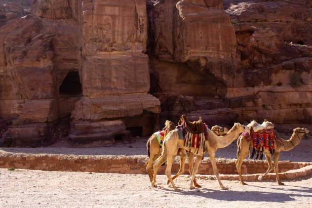 Mens en dier in&nbsp;Petra
