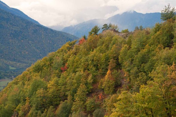 Natuur in Georgië