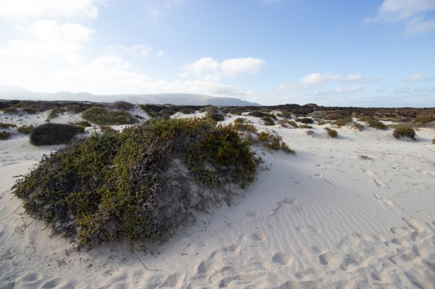 Witte plek in een zwart&nbsp;land