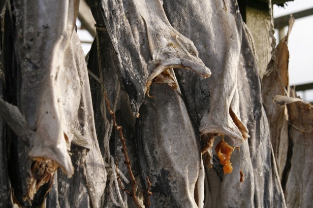 Diepvriesvis uit Noorwegen