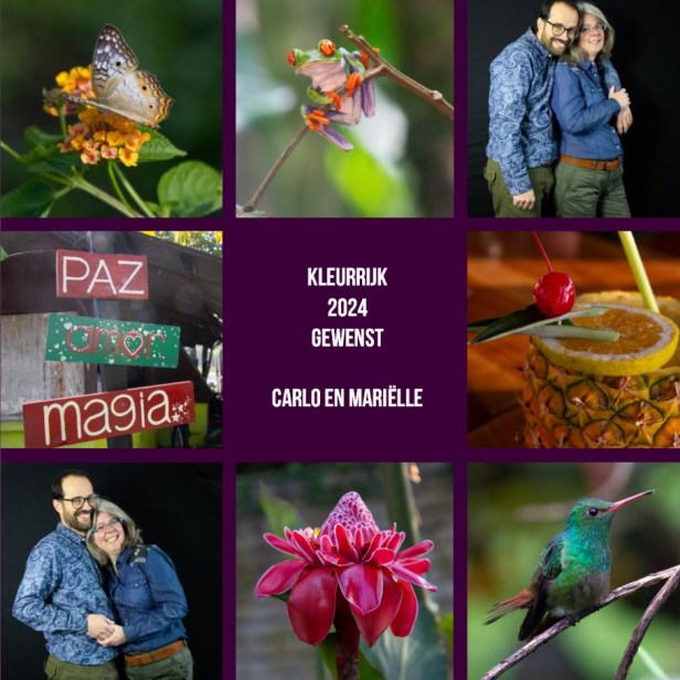 Kleurrijk 2024