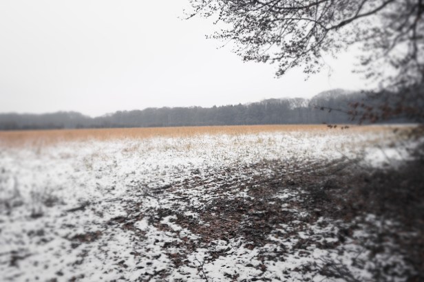 Sneeuw op Mariëndaal