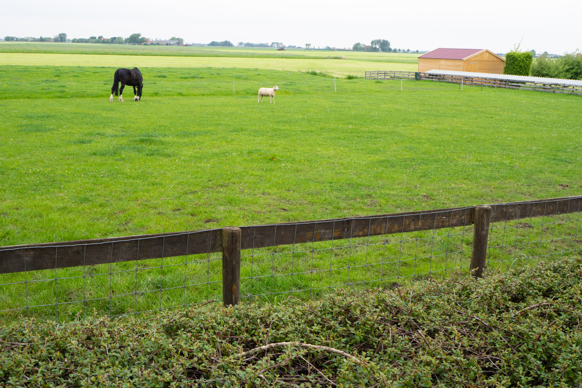Friesland - Wiuwert - mummiekelder