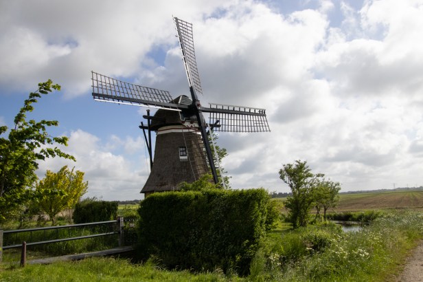 ‘Onze’ Friese molen