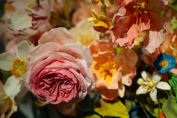 Bloemen op ’t&nbsp;Loo