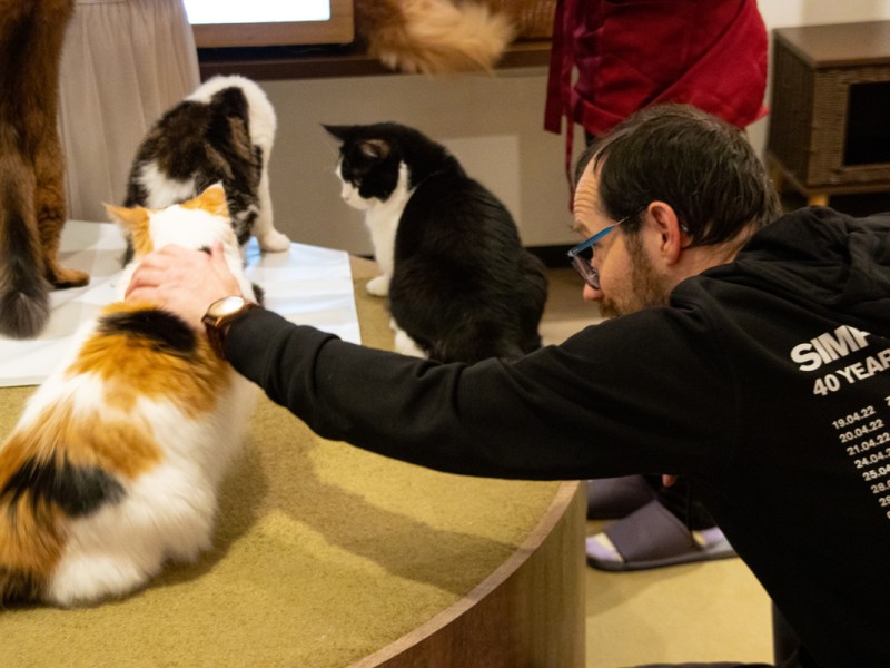 Katten knuffelen in&nbsp;Ikebukuro