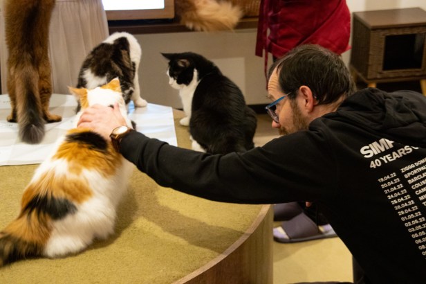 Katten knuffelen in&nbsp;Ikebukuro