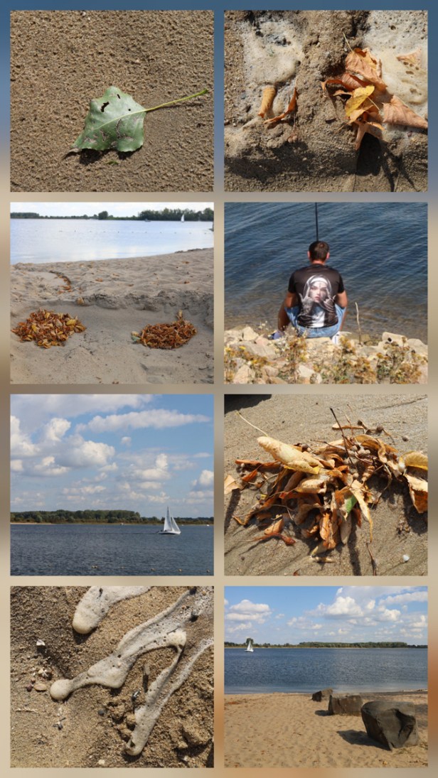 Collage Lathum