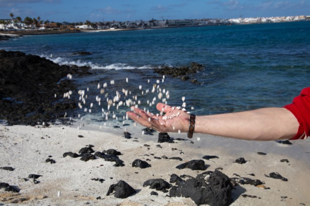 Popcorn beach – waar de natuur je voor de gek&nbsp;houdt