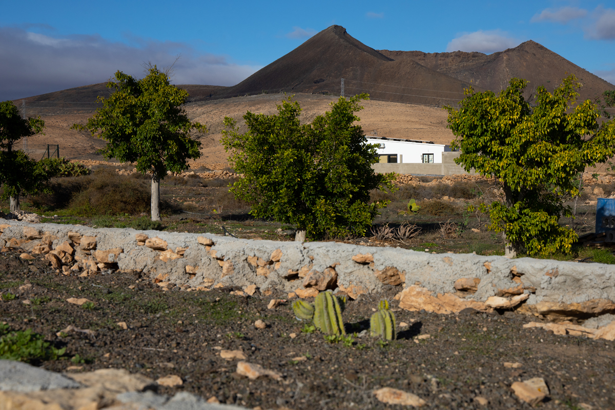 tiscamanita - fuerteventura - canarische eilanden