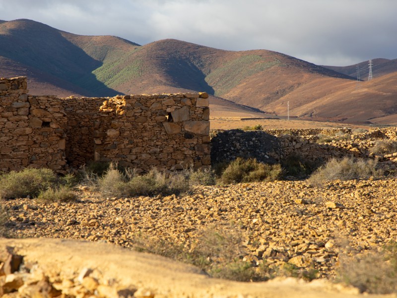 Lava, stilte en een hop: vogels spotten op&nbsp;Fuerteventura