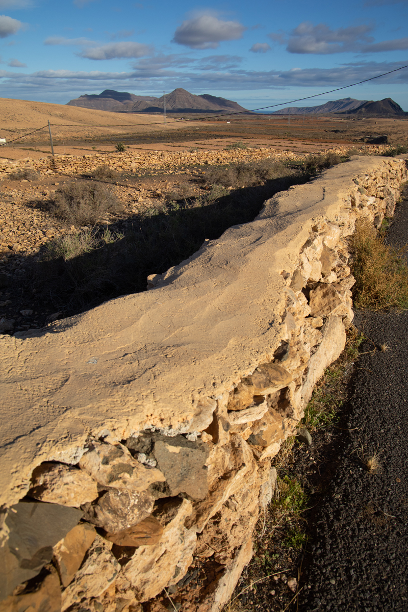 tiscamanita - fuerteventura