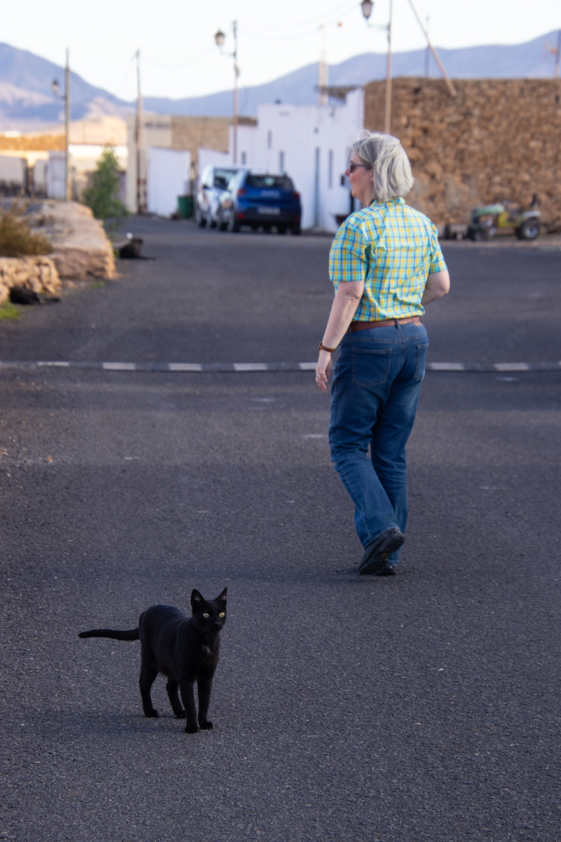 tiscamanita - fuerteventura - canarische eilanden