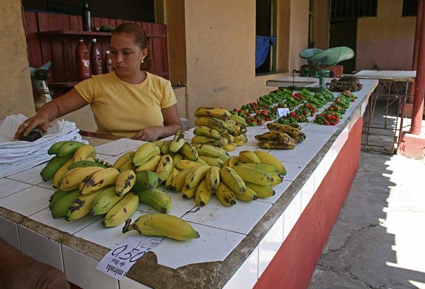 Tussen bananen en&nbsp;marktkramen